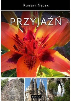 Przyjaźń