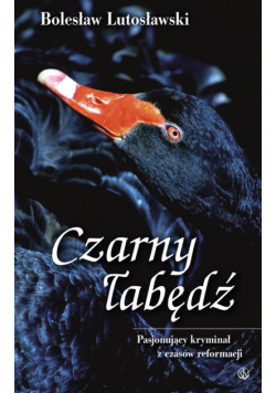 Czarny łabędź