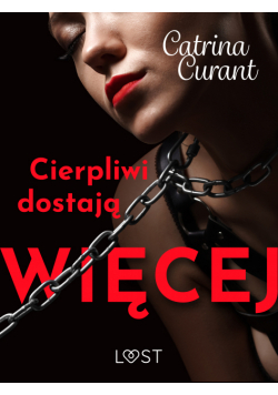 Cierpliwi dostają więcej – opowiadanie erotyczne