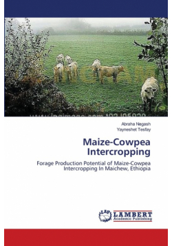 Maize-Cowpea Intercropping