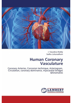 Human Coronary Vasculature