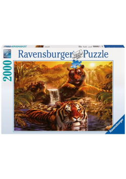 Puzzle Kąpiel tygrysów 2000