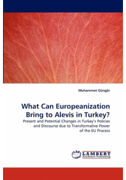 What Can Europeanization Bring to Alevis in Turkey?