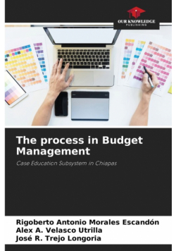 The process in Budget Management