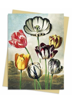 Karnet B6 Tulipany Temple of Flora