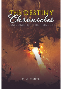 The Destiny Chronicles