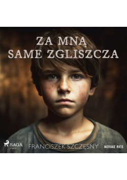Za mną same zgliszcza