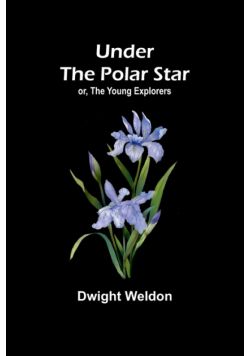Under the Polar Star; or, The Young Explorers