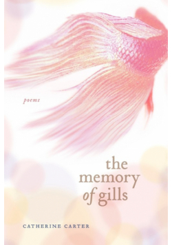 The Memory of Gills