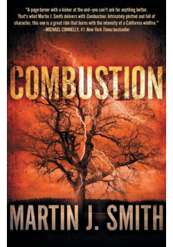 Combustion