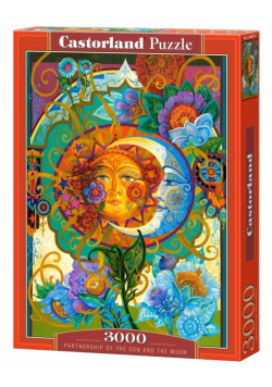 Puzzle 3000 Partnership of the Sun and... CASTOR
