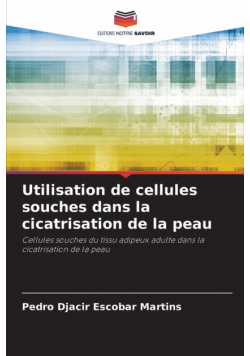 Utilisation de cellules souches dans la cicatrisation de la peau