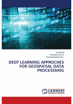 Deep Learning Approches For Geospatial Data Processsing