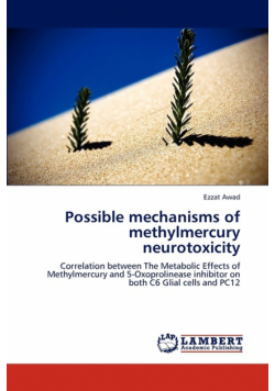 Possible mechanisms of methylmercury neurotoxicity