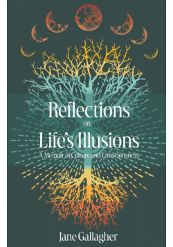 Reflections on Life's Illusions