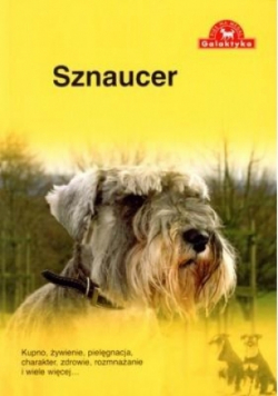 Pies na medal. Sznaucer