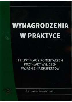 Wynagrodzenia w praktyce