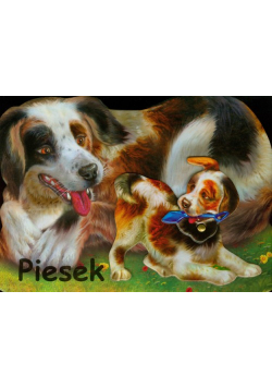 Piesek