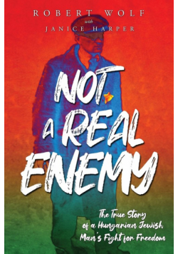 Not A Real Enemy