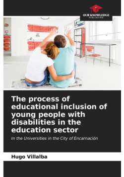 The process of educational inclusion of young people with disabilities in the education sector