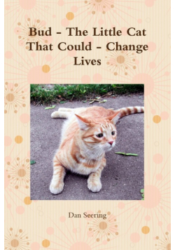 Bud - The Little Cat That Could - Change Lives