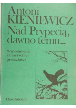 Nad Prypecią dawno temu