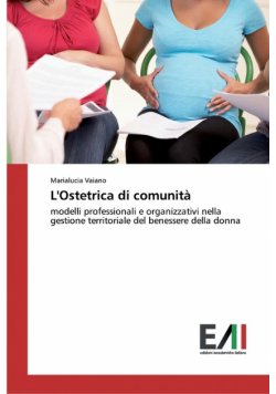 L'Ostetrica di comunità