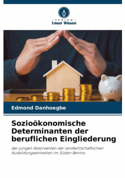 Sozioökonomische Determinanten der beruflichen Eingliederung