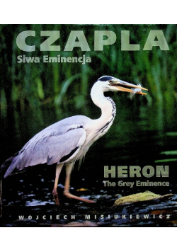 Czapla Siwa Eminencja