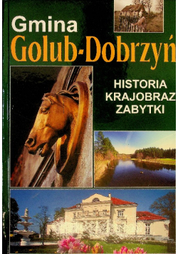 Gmina Golub - Dobrzyń