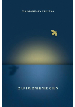 Zanim zniknie cień