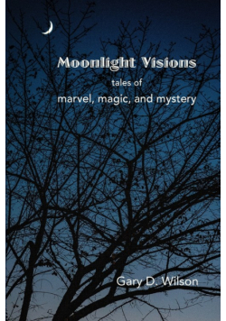 Moonlight Visions