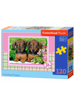 Puzzle Dachshund Puppies 120
