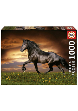 Puzzle 1000 Kłusujący koń