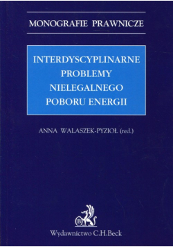 Interdyscyplinarne problemy nielegalnego poboru energii