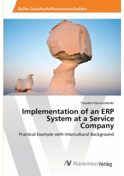 Implementation of an ERP System at a Service Company