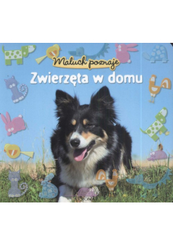 Maluch poznaje Zwierzęta w domu