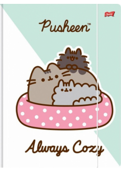 Teczka z gumką A4 300 g/m2 Pusheen mix