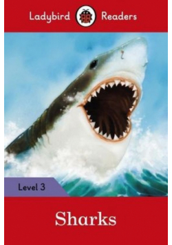 Sharks Level 3