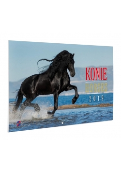 Kalendarz 2019 KA-10 Konie AVANTI