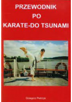 przewodnik po karate do tsunami