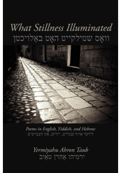 What Stillness Illuminated