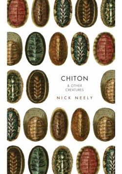Chiton & Other Creatures