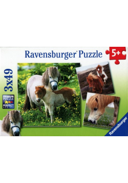 Puzzle Przyjacielski kucyk 3x49