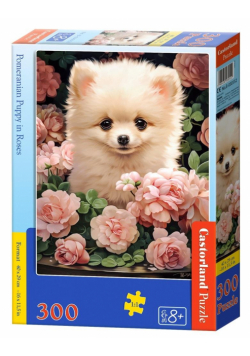 Puzzle 300 Pomeranian Puppy in Roses CASTOR