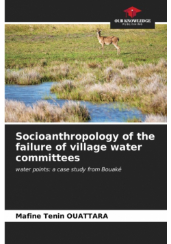Socioanthropology of the failure of village water committees
