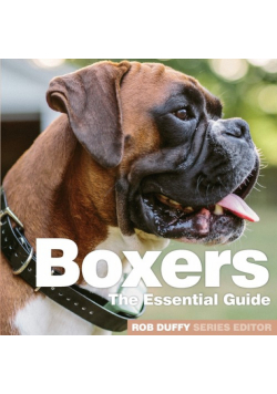 Boxers