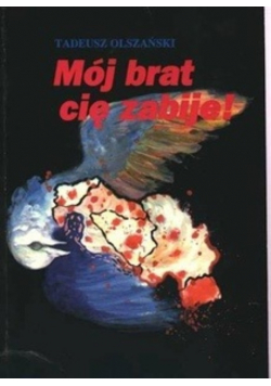 Mój brat cię zabije O wojnie w Jugosławii