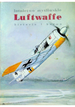 Lotnictwo myśliwskie Luftwaffe historia i barwa