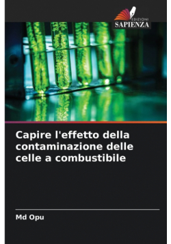 Capire l'effetto della contaminazione delle celle a combustibile